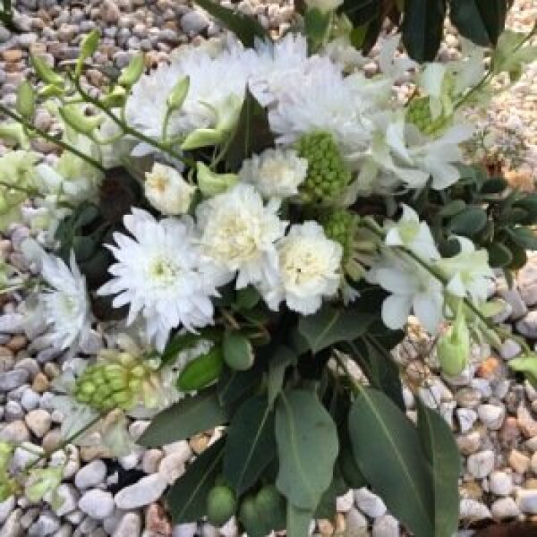 White dreams.Same Day Flower Delivery