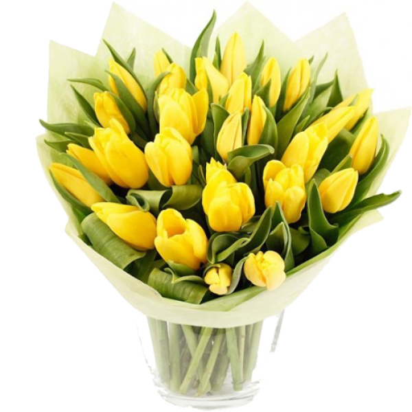 A Lovely Tulip Bouquet for gifting|Flowers Melbourne City